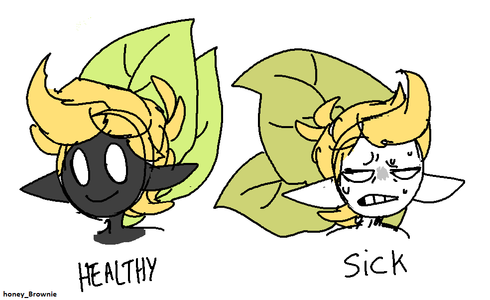 Healthy and sick comparasion