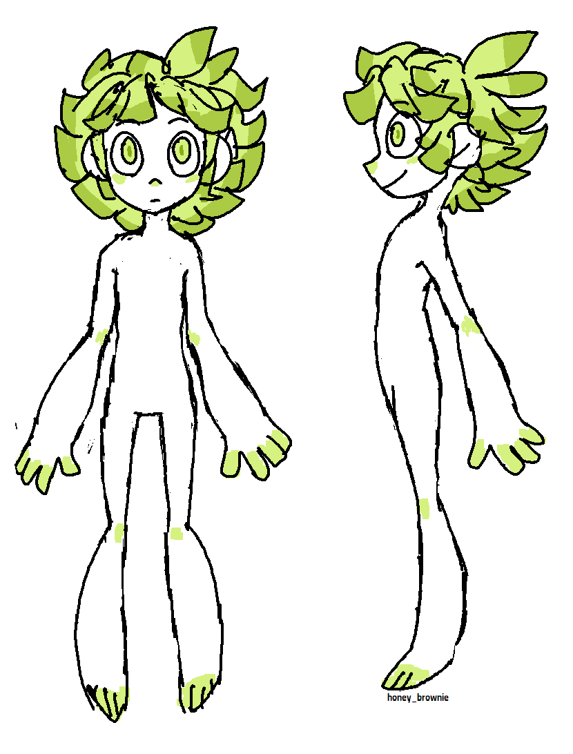 Front and side view of species